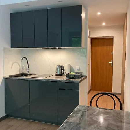 Apartament 220 Na Park Lesny Bad Altheide Exterior foto