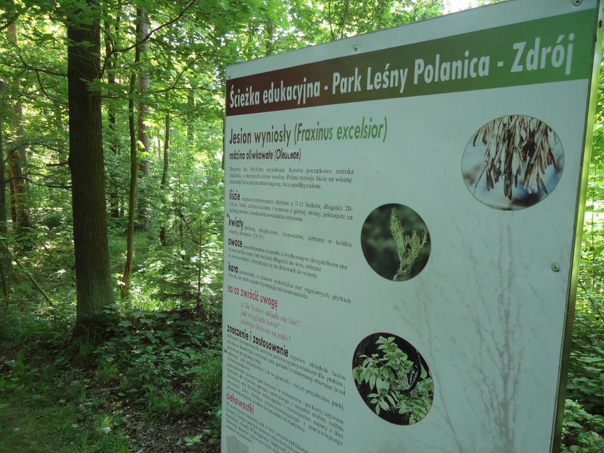 Apartment 220 Na Park Lesny Polanica-Zdroj